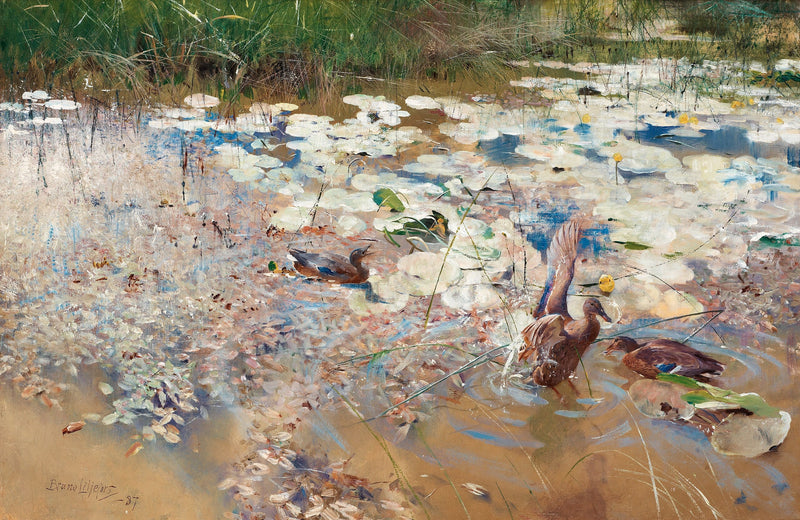 Wildenten - Bruno Liljefors