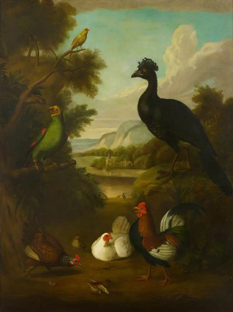 Canari, grüner Papagei und andere Vögel in einer Landschaft - Tobias Stranover