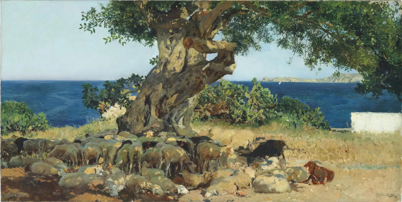 Caroubier - Joaquín Sorolla