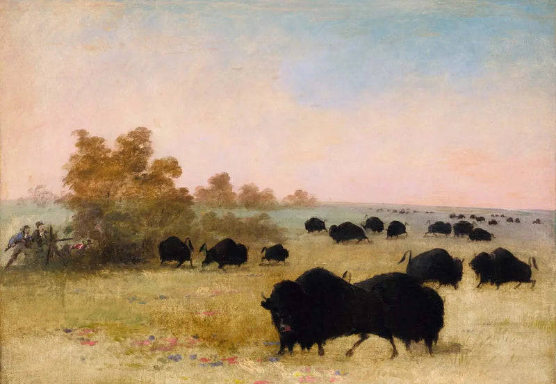 Catlin und Party Stalking Buffalo, Haut-Missouri - George Catlin