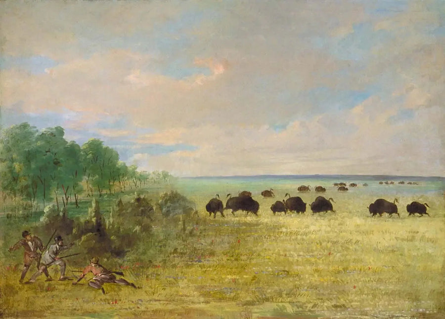 Catlin und Party verfolgen Buffalo in Texas - George Catlin