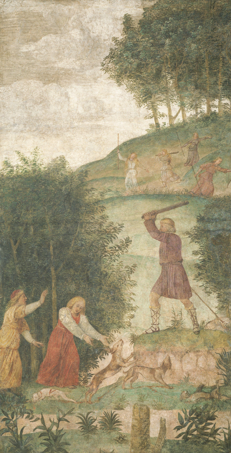 Bestrafter Kopf bei der Jagd - Bernardino Luini