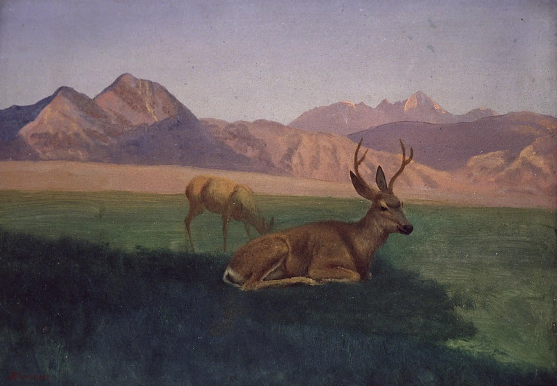 Hirsch - Albert Bierstadt