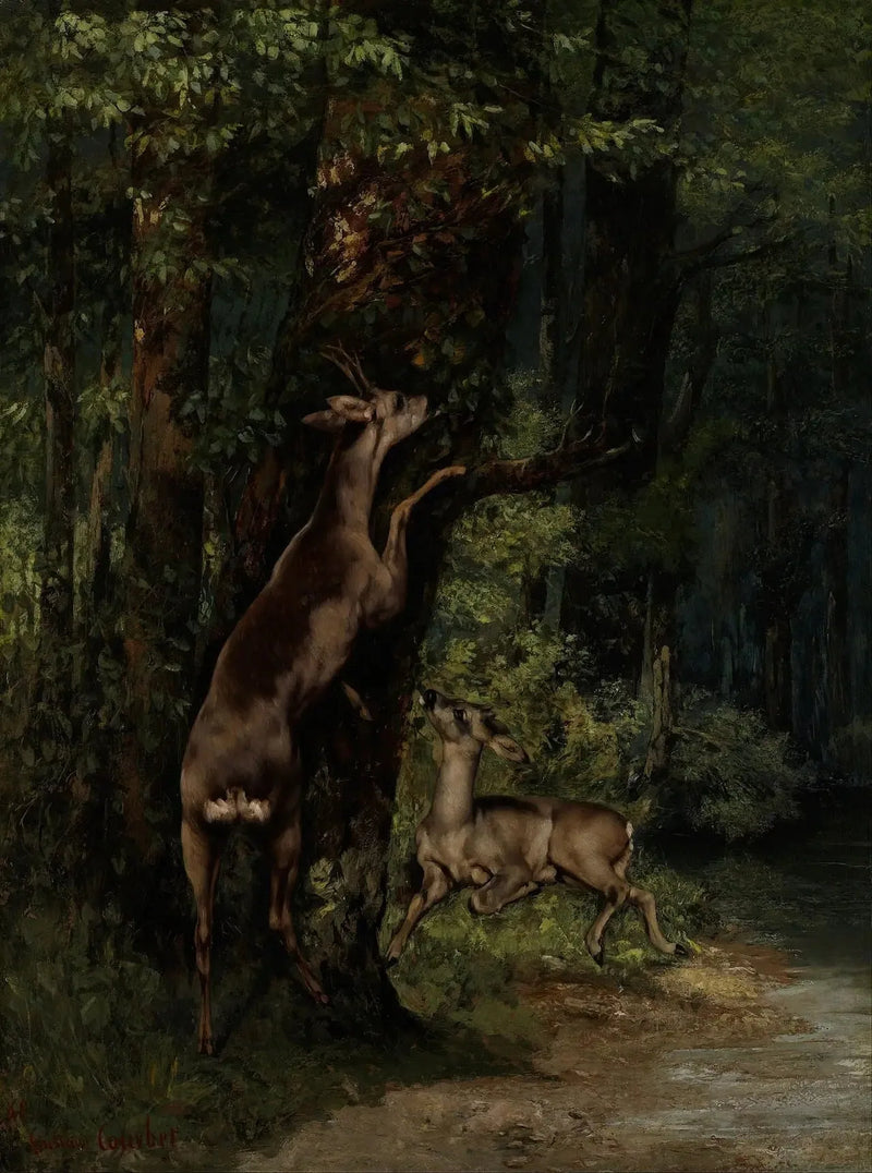 Hirsch im Wald - Gustave Courbet