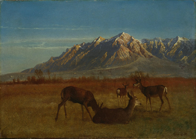 Hirsch in einem Berghaus - Albert Bierstadt
