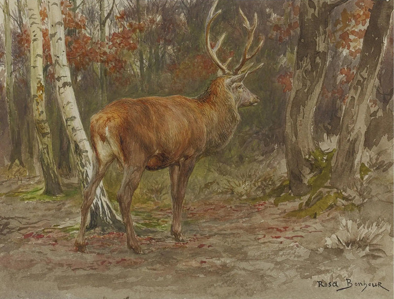 Wachsamer Hirsch - Rosa Bonheur