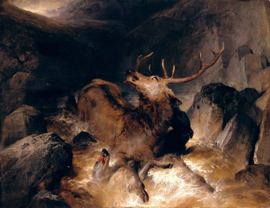 Cerfs et Hunde bei einem Bergbach - Edwin Henry Landseer