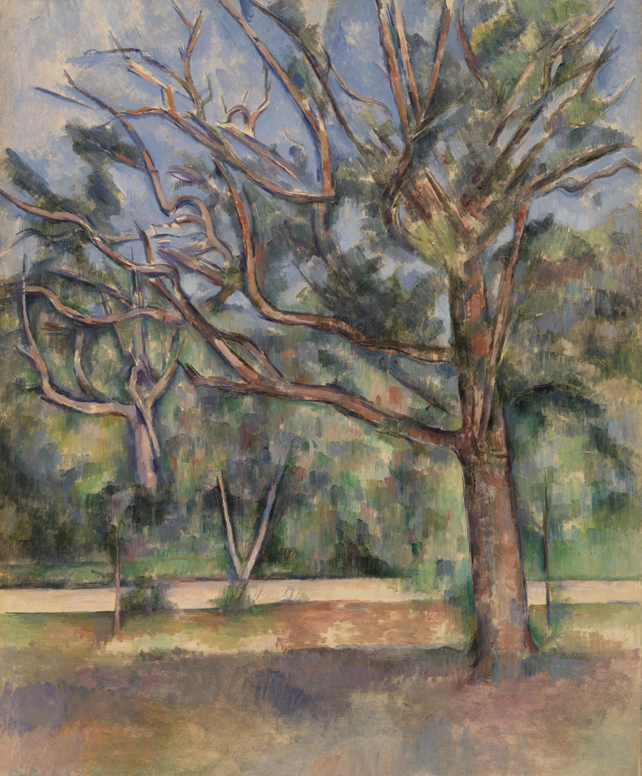 Bäume und Straße - Paul Cézanne