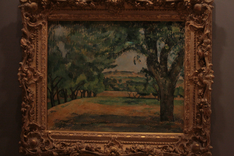 Umgebung des Jas de Bouffan - Paul Cézanne