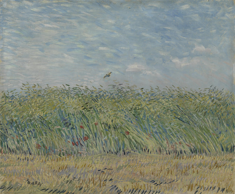 Weizenfeld mit Lerche - Vincent van Gogh