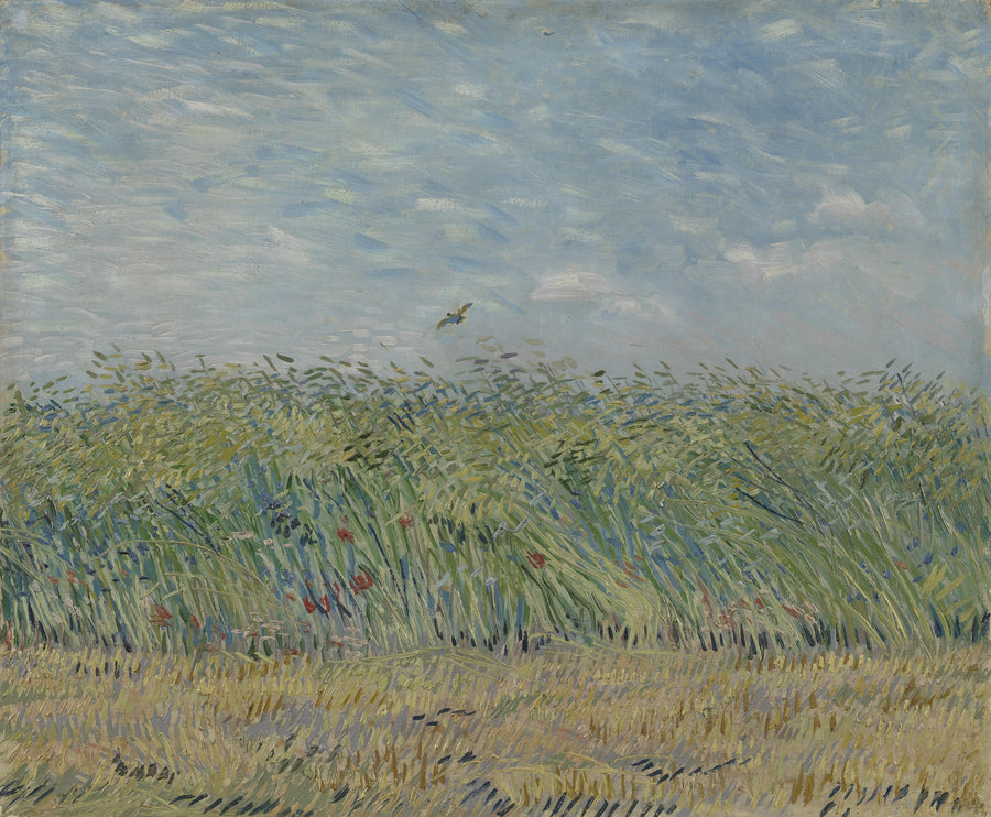 Weizenfeld mit Lerche - Vincent van Gogh