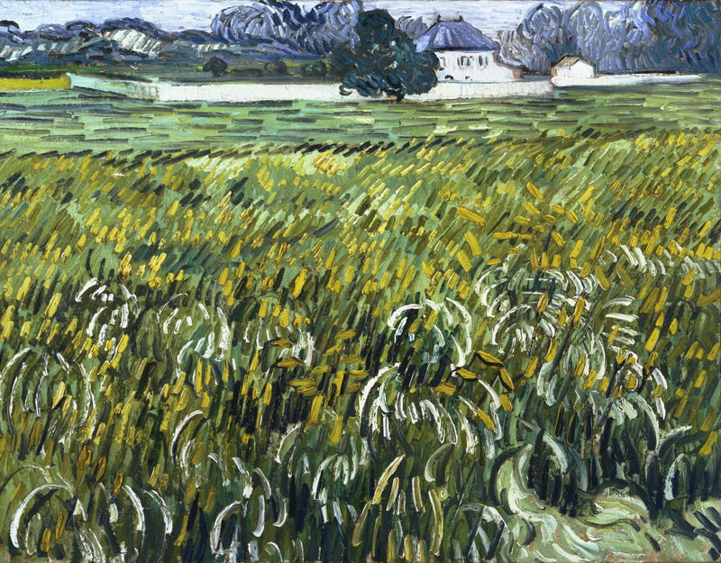 Weizenfeld in Auvers mit Haus - Vincent van Gogh