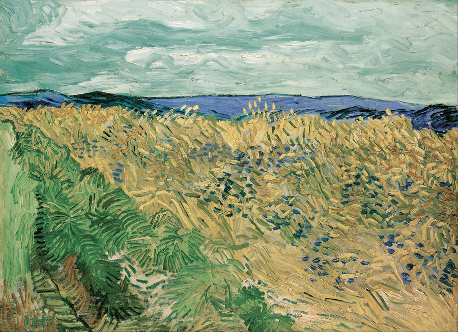Weizenfeld mit Kornblumen - Vincent van Gogh