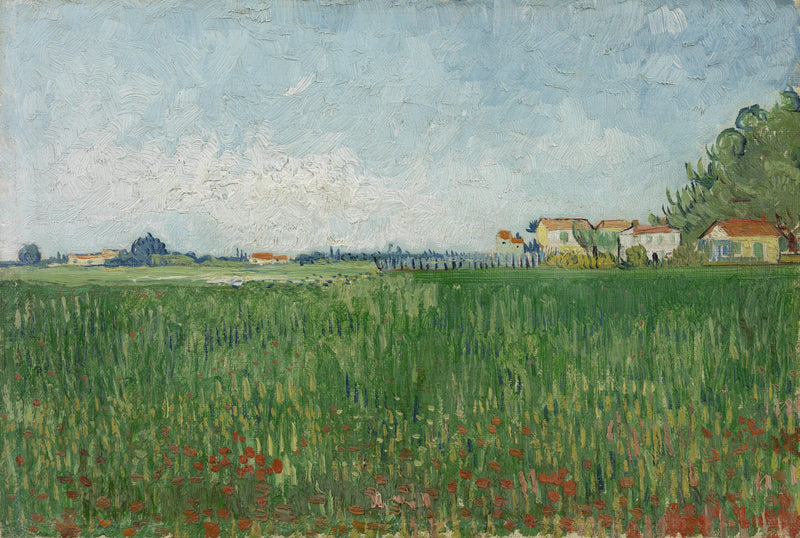 Mohnfeld - Vincent van Gogh