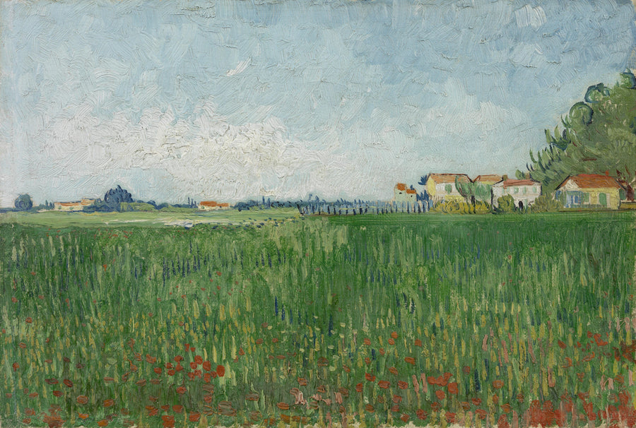 Mohnfeld - Vincent van Gogh