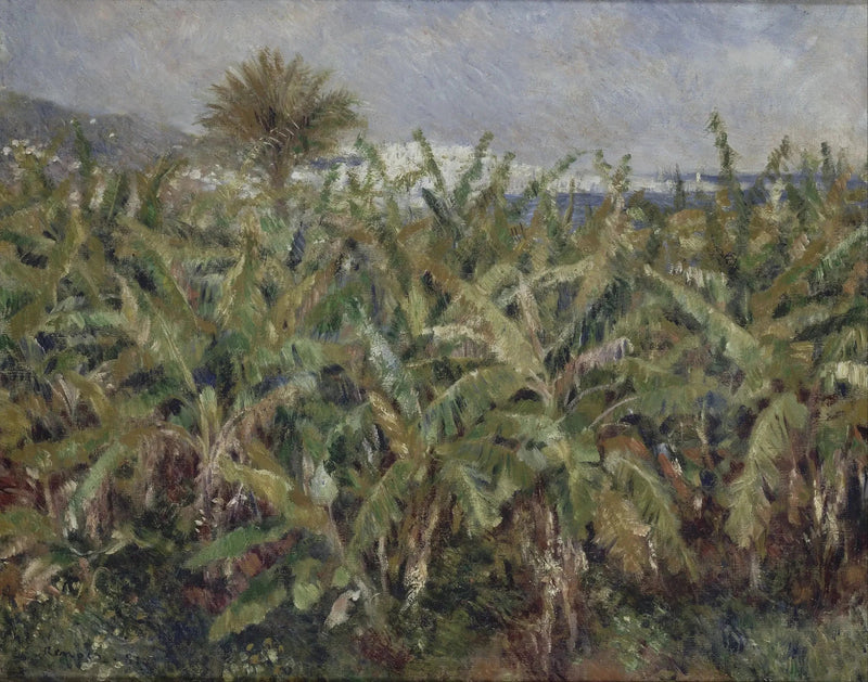 Bananenfeld - Pierre-Auguste Renoir