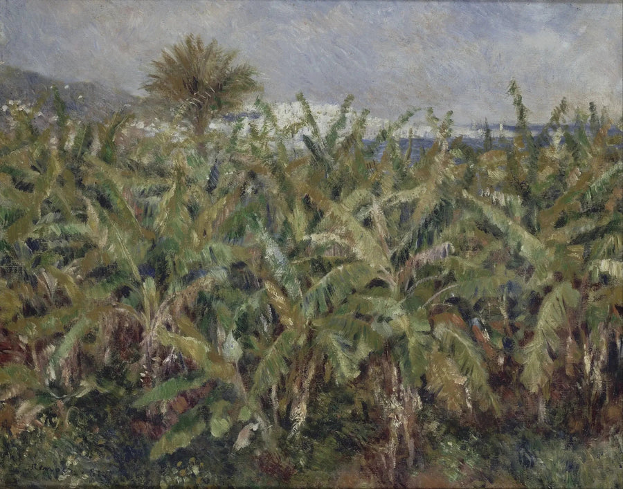 Bananenfeld - Pierre-Auguste Renoir