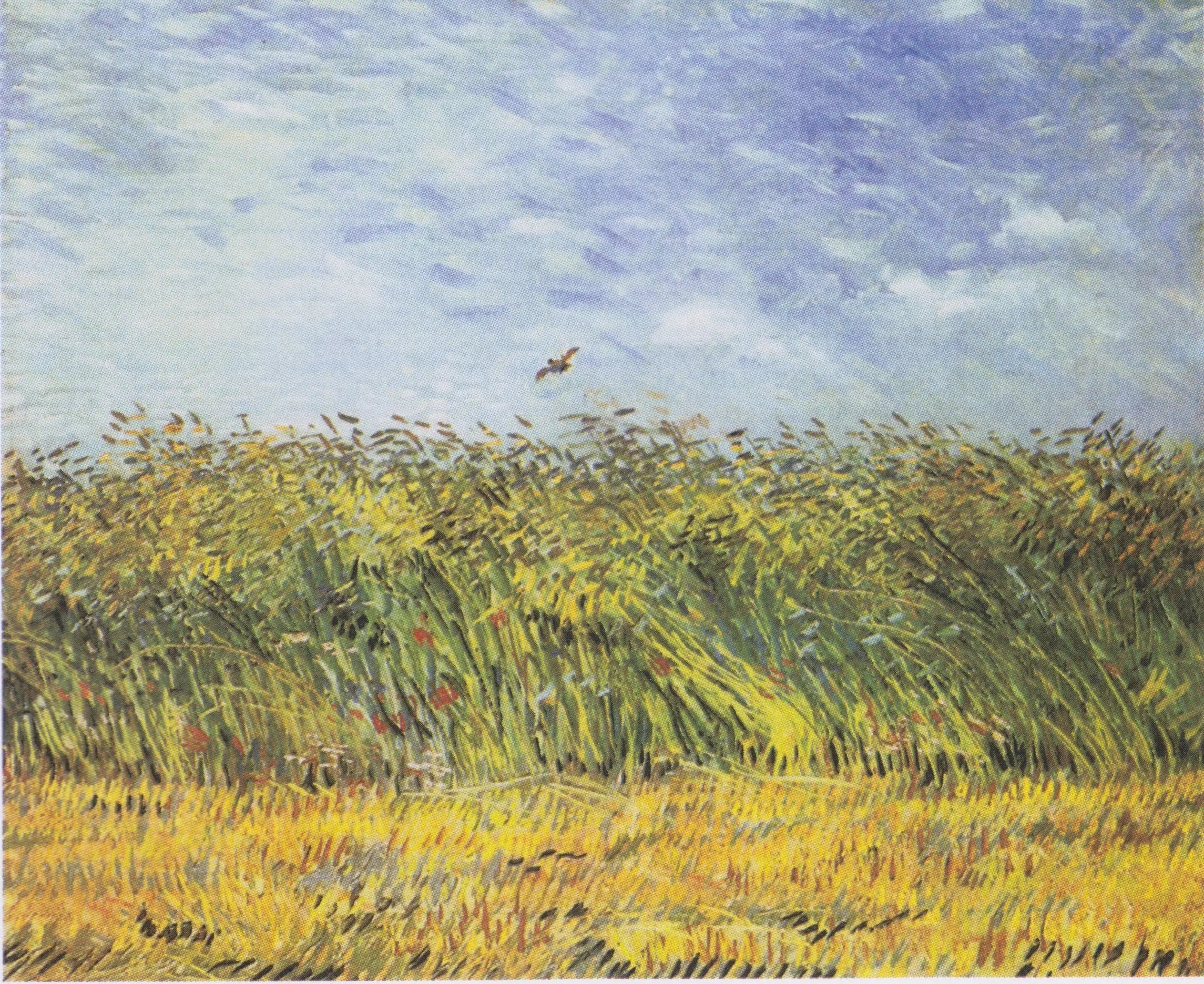 Champ de blé à l'alouette - Vincent van Gogh image 1 reproduction d’œuvre d’art à l’huile