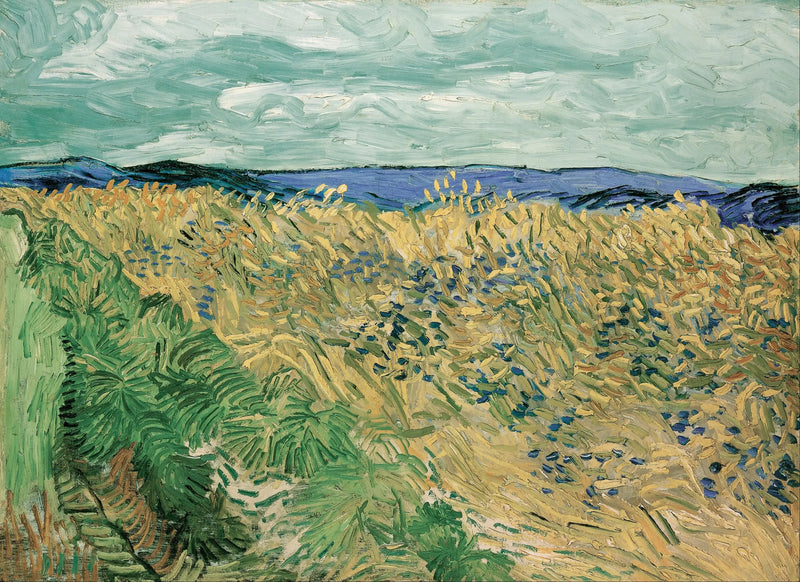 Weizenfeld mit Kornblumen - Vincent van Gogh