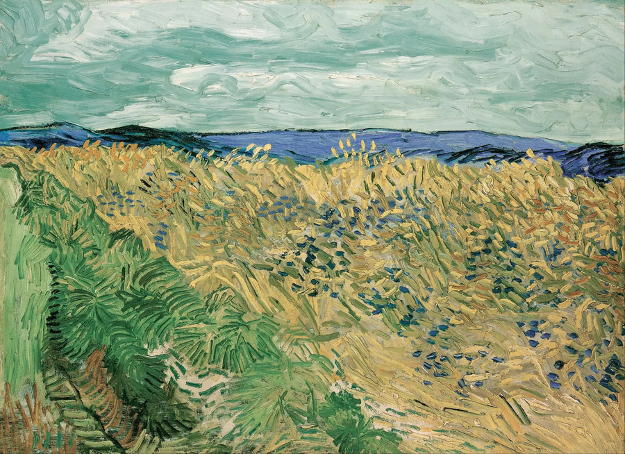 Weizenfeld mit Kornblumen - Vincent van Gogh