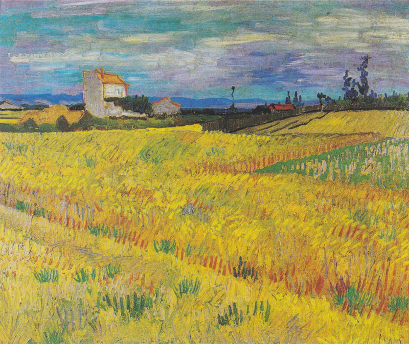 Weizenfeld - Vincent van Gogh