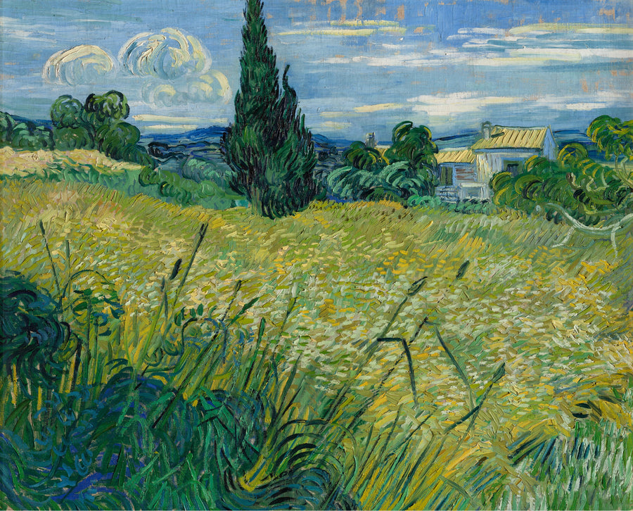 Das grüne Weizenfeld mit Zypressen - Vincent van Gogh