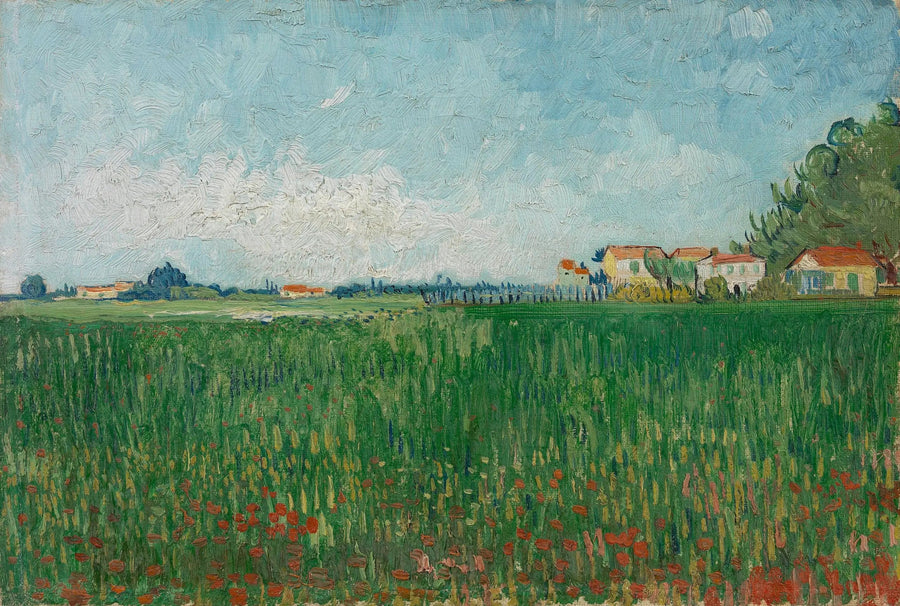 Mohnfeld - Vincent van Gogh