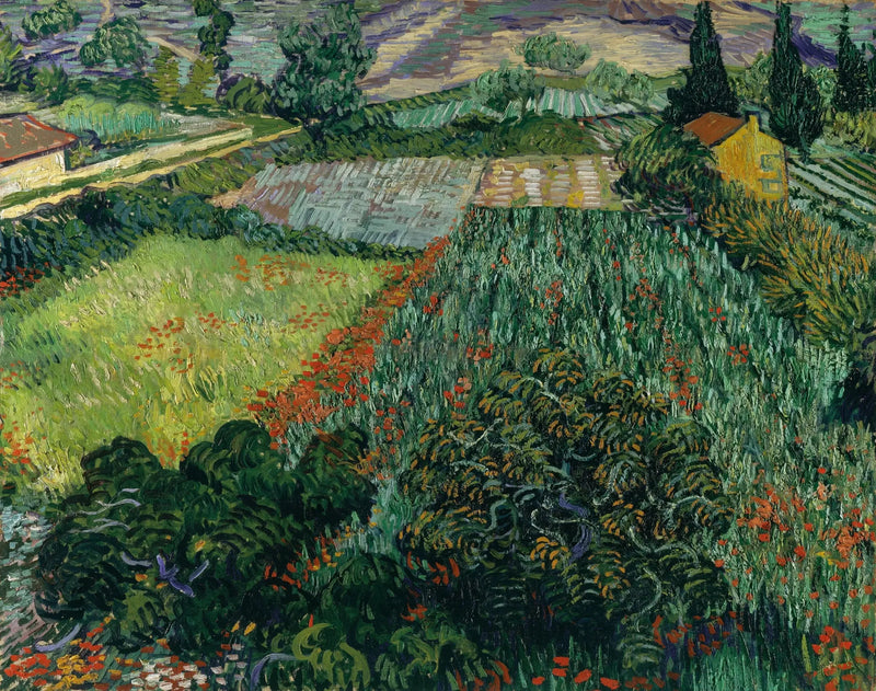 Mohnfeld - Vincent van Gogh