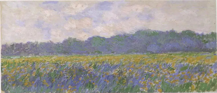 Gelbes Irisfeld in Giverny - Claude Monet