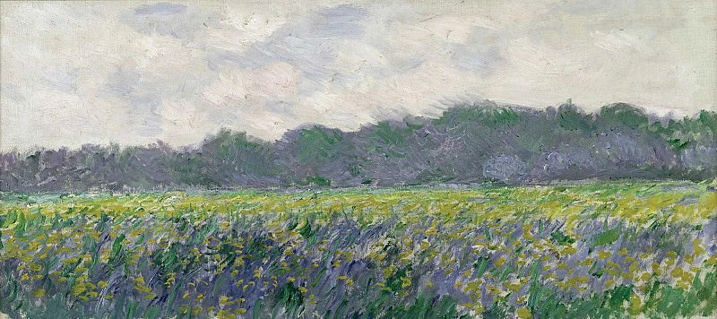 Gelbes Irisfeld in Giverny W1137 - Claude Monet