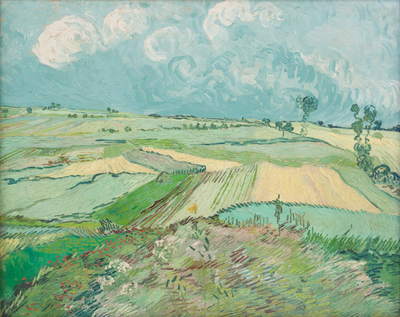Weizenfeld nach dem Regen - Vincent van Gogh