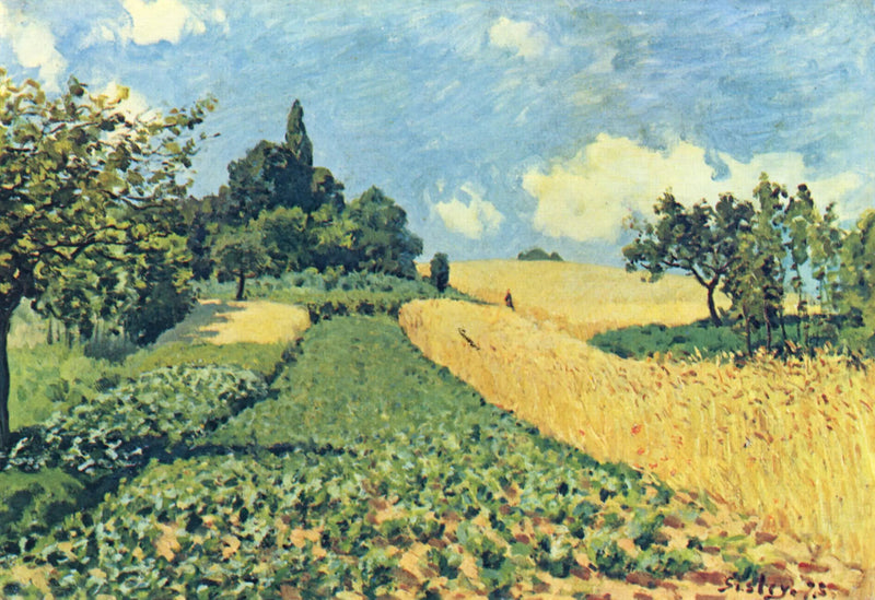 Weizenfelder in den Höhenlagen von Argenteuil - Alfred Sisley