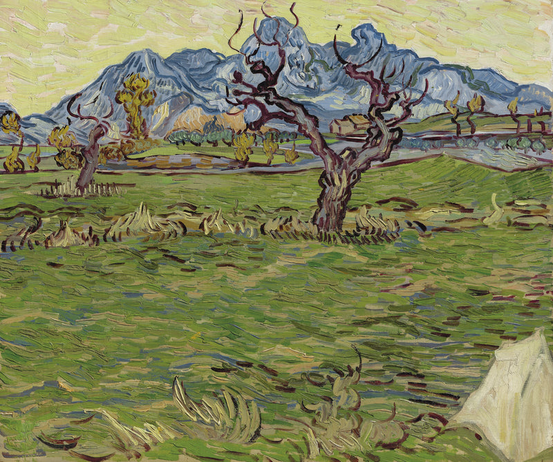 Felder bei den Alpilles - Vincent van Gogh