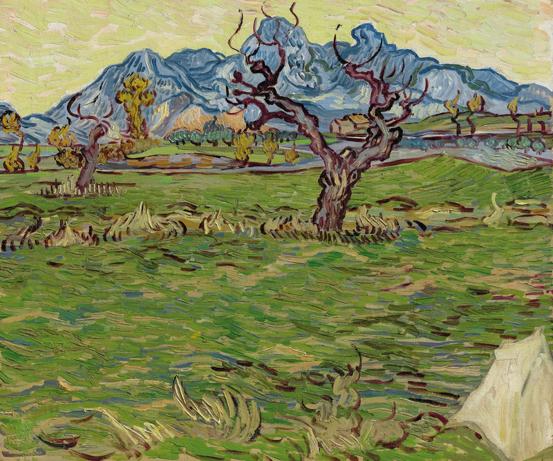 Felder bei den Alpilles - Vincent van Gogh