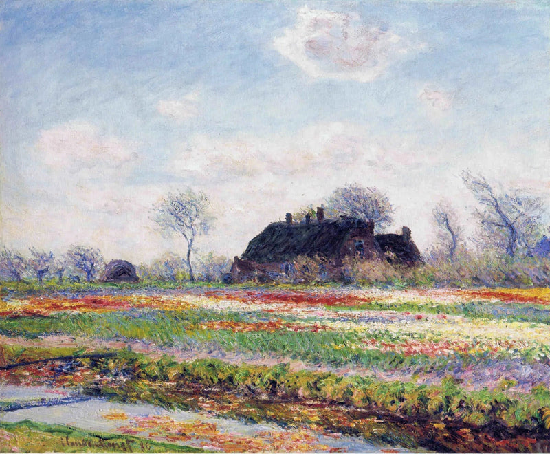 In Sassenheim bei Haarlem, Tulpenfeld - Claude Monet