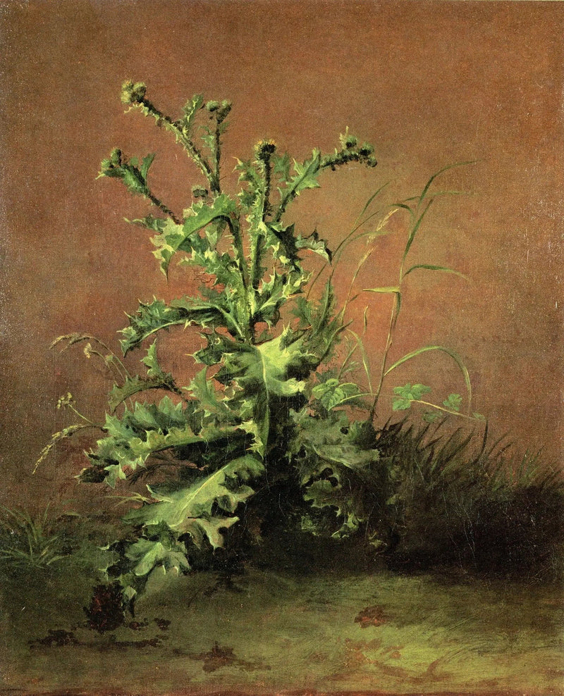 Disteln - Édouard Manet