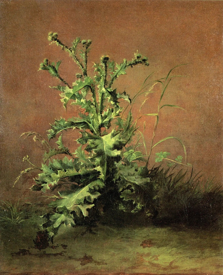Disteln - Édouard Manet