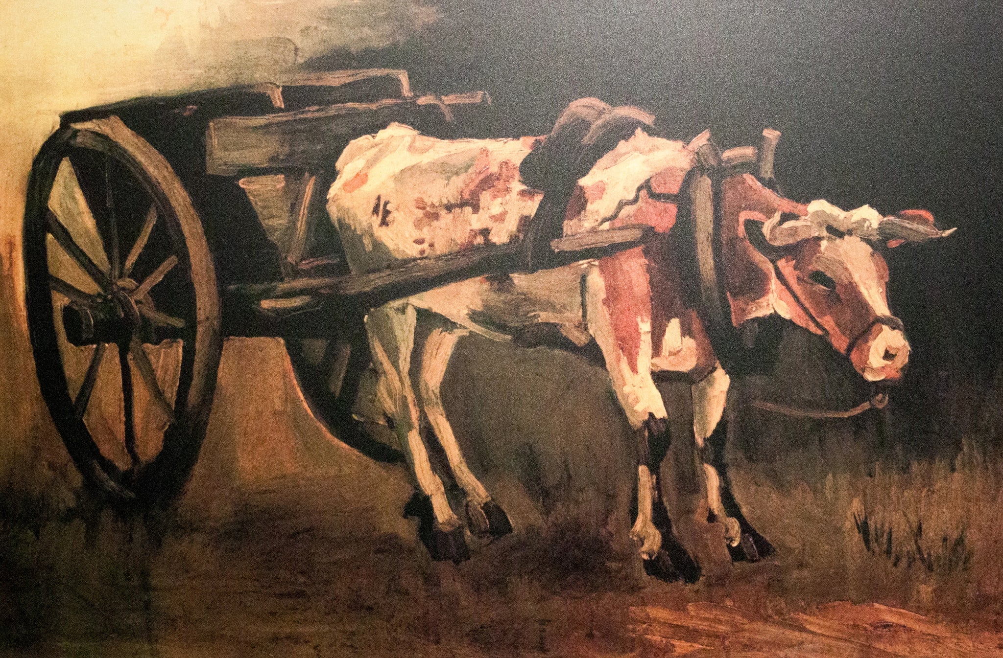 Charrette avec bœuf rouge et blanc F38 — Vincent van Gogh