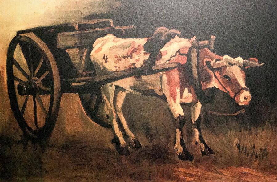 Ochsenkarren mit rotem und weißem Rind - Vincent van Gogh