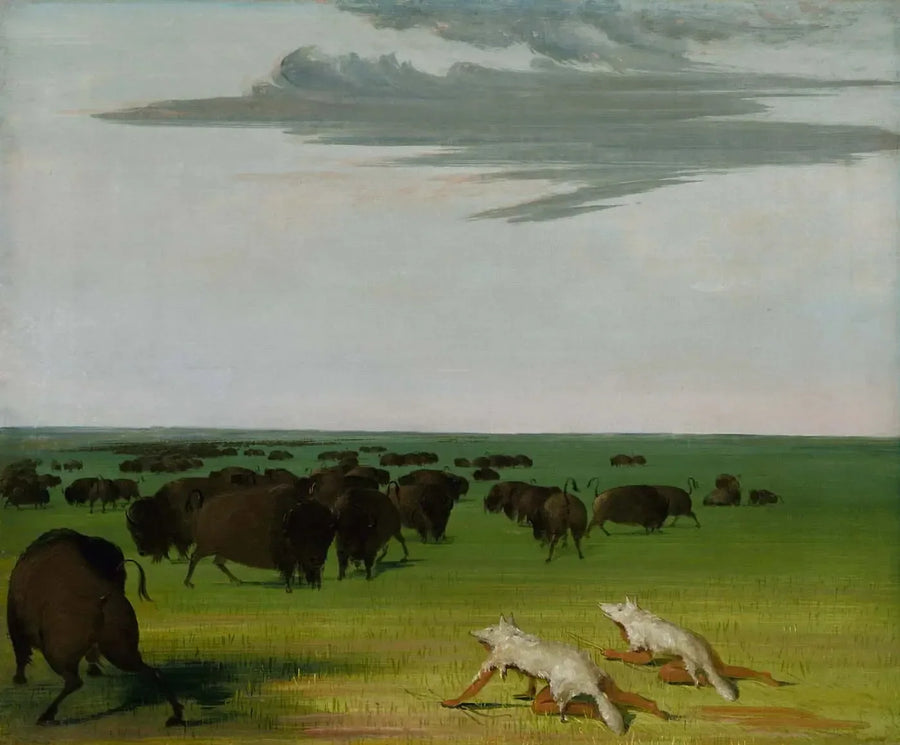 Büffeljagd unter dem Wolfsgesicht-Maske - George Catlin