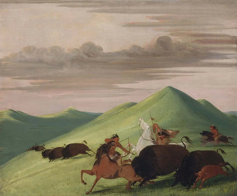 Büffeljagd, Stier, der eine Kuh und ihr Kalb schützt - George Catlin