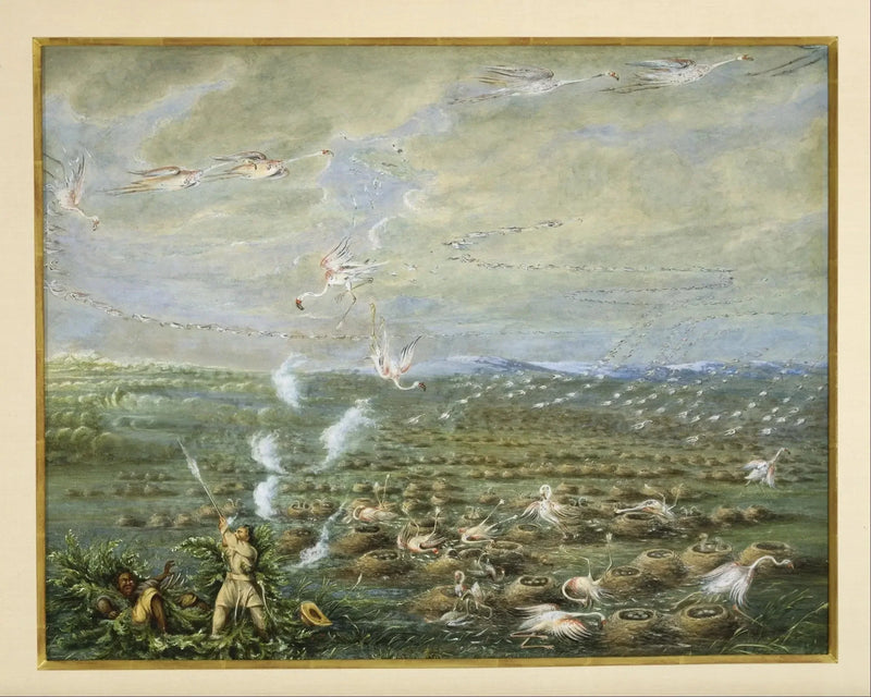 Pinkflamingo-Jagd in Südamerika - George Catlin
