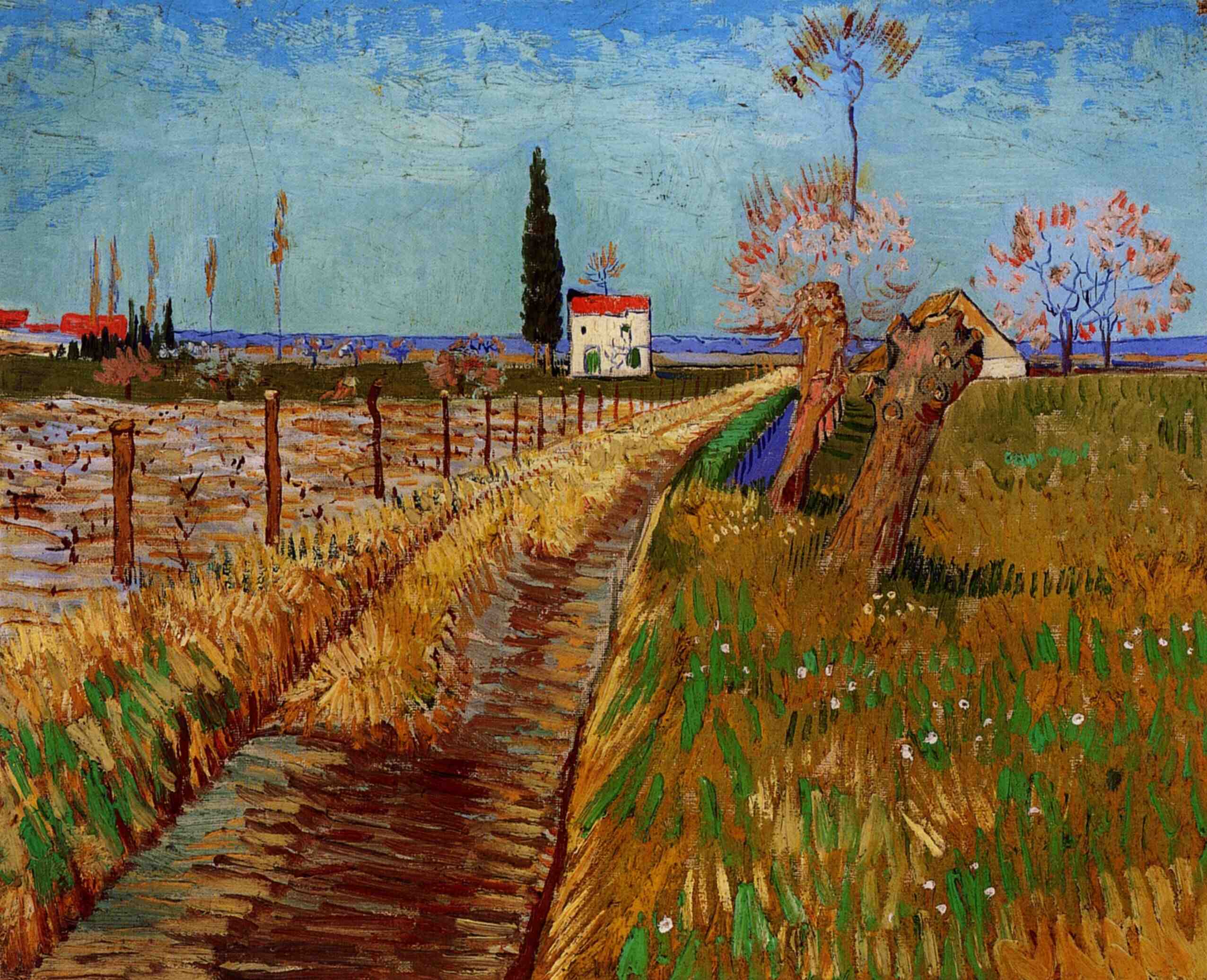 Reproduction du tableau « Chemin à travers un champ de saules - Vincent van Gogh » par Alpha Reproduction en peinture à l’huile