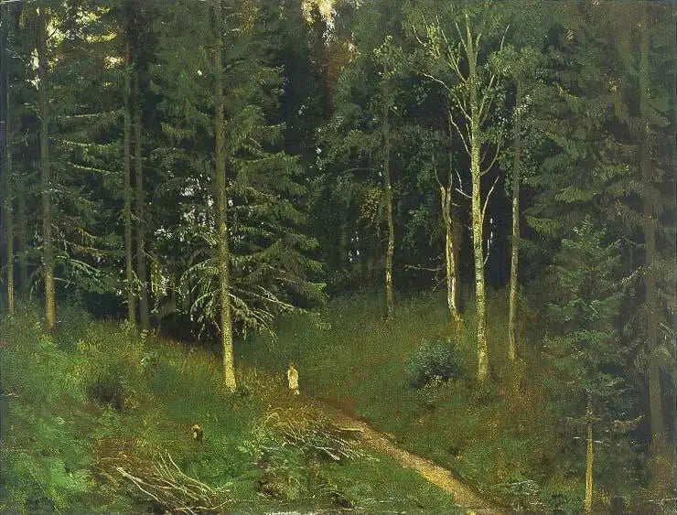 Weg im Wald (Fichtenwald) - Ivan Chichkine