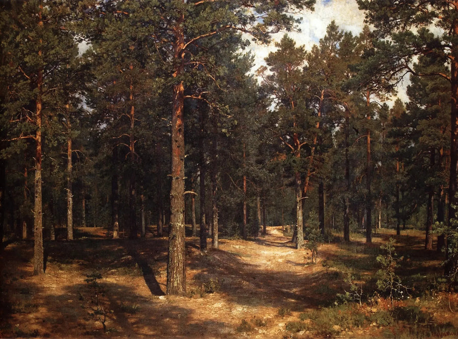 Weg zwischen den Kiefern - Ivan Chichkine