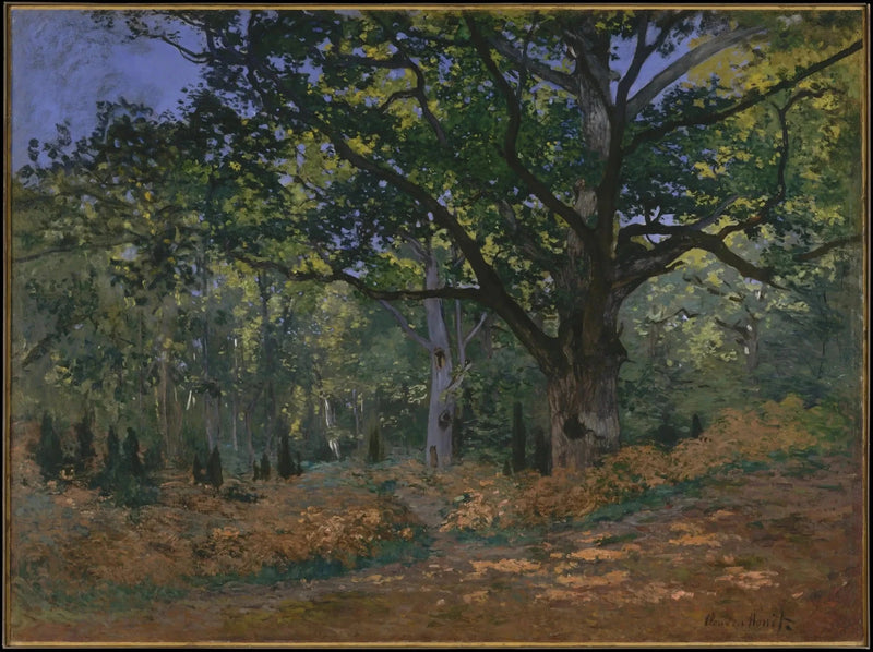 Die Bodmer-Eiche, Wald von Fontainebleau W60 - Claude Monet