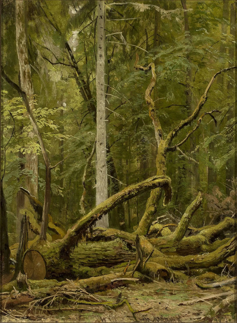 Chêne gesägt - Ivan Chichkine