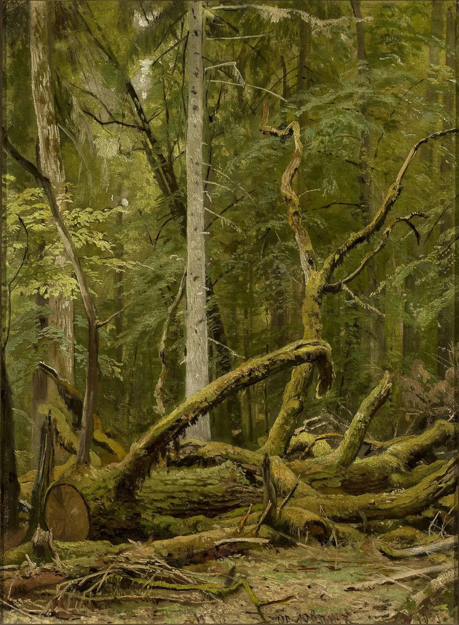 Chêne gesägt - Ivan Chichkine