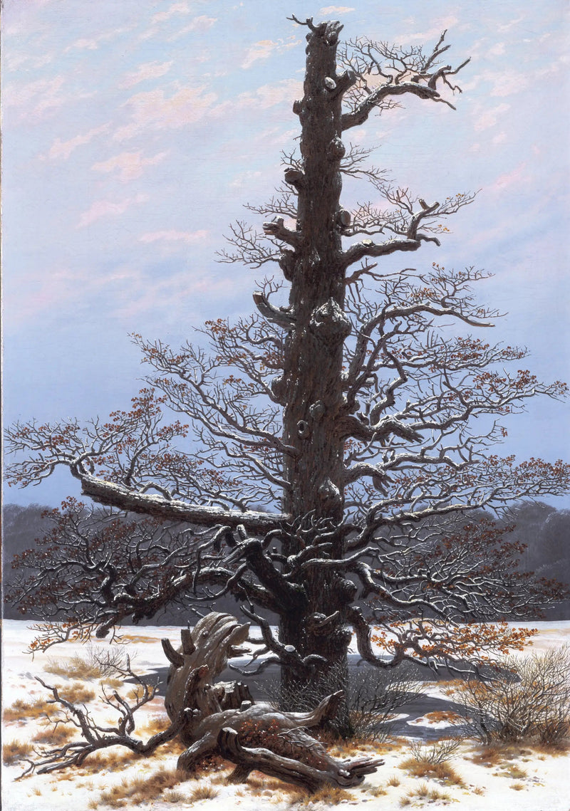 Eiche unter dem Schnee - Caspar David Friedrich