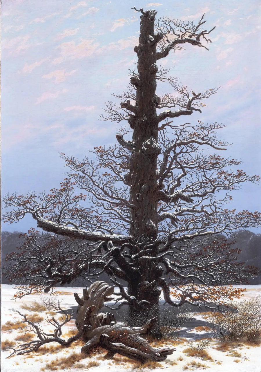 Eiche unter dem Schnee - Caspar David Friedrich